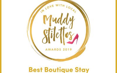 MUDDY AWARDS 2019 NOMINATION!