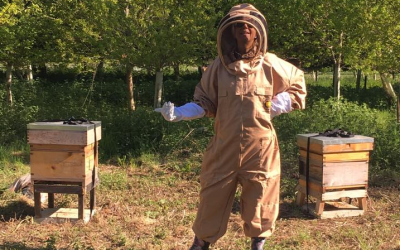 WHAT A BUZZ – MEET OUR NEW BEES!